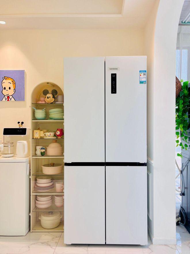冰箱品牌排行榜前十名：这6个口碑公认！爱游戏ayx冰箱什么品牌最好？2024(图5)